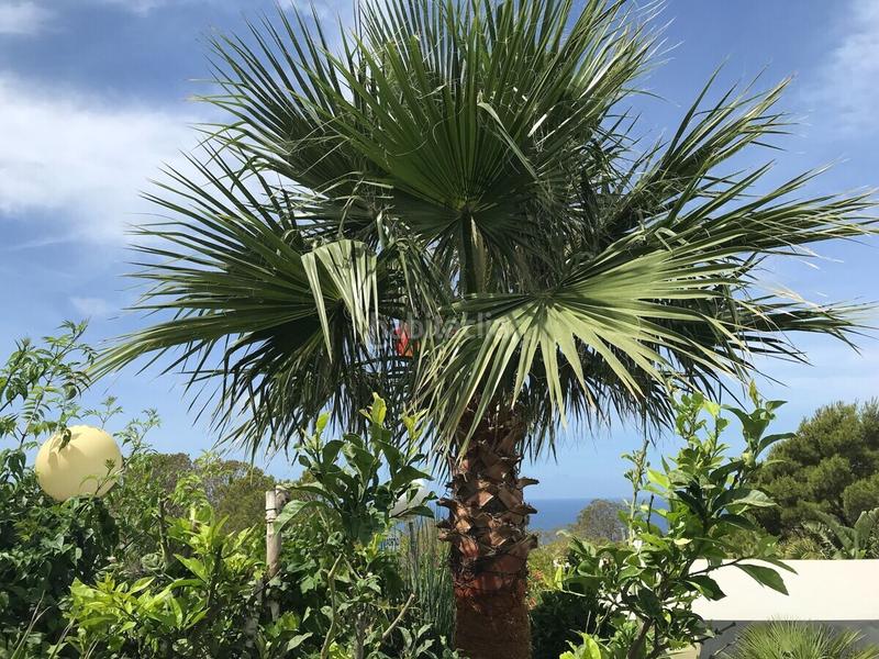 Foto f982159c-0e03-487e-9266-0397411f21aa. Casa aparellada amb calefacció aparcament piscina a Llucmajor