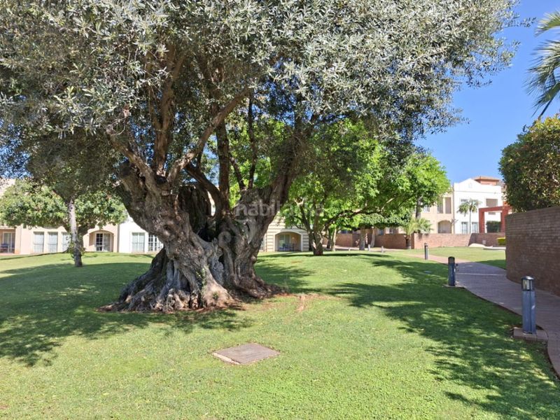 Foto b79026d5-d843-4e90-b2f4-c33f8b8231f3. Apartamento en La Sella Pedreguer