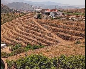 Casale  Gr-5300. Finca rústica con cortijo en construcción, invernadero y producc