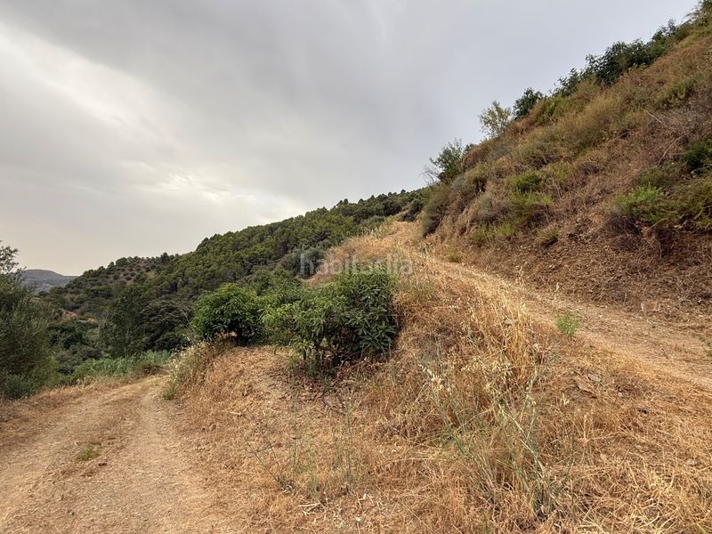 Foto 04486d24-5673-451d-9f53-4dc0a49b82ef. Finca rústica a camino río seco 9 a Almuñecar centro Almuñécar