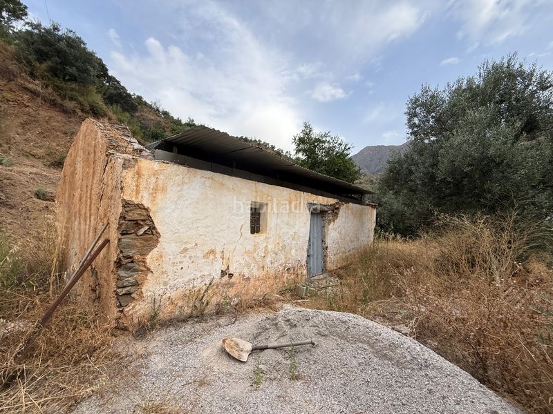 Foto 97434755-66f6-4690-9a33-45ecbe98e308. Finca rústica a camino río seco 9 a Almuñecar centro Almuñécar