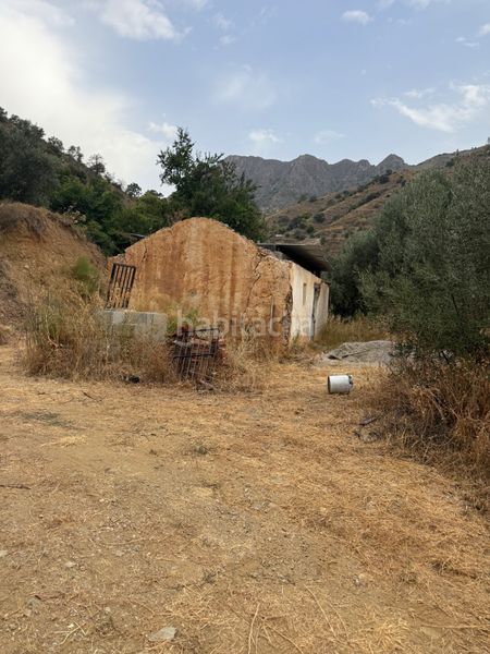 Foto e1c05a7b-703e-4048-8fcd-93163314172b. Finca rústica a camino río seco 9 a Almuñecar centro Almuñécar