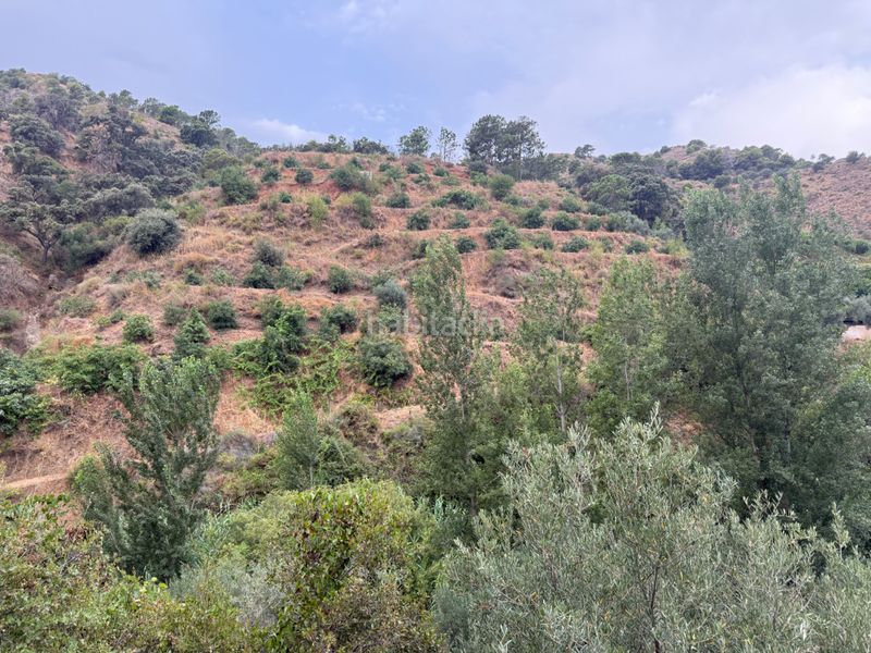 Foto e527f1c4-8c3b-4eab-84c0-dacd3fdc7a91. Finca rústica a camino río seco 9 a Almuñecar centro Almuñécar