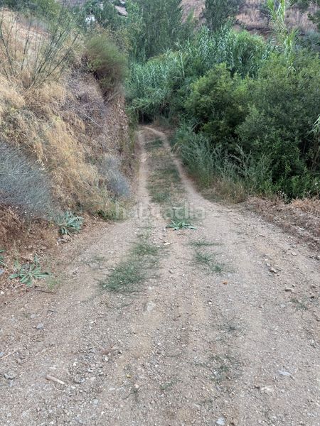 Foto ef53c720-8940-45b5-b78a-dc64809d42aa. Finca rústica a camino río seco 9 a Almuñecar centro Almuñécar