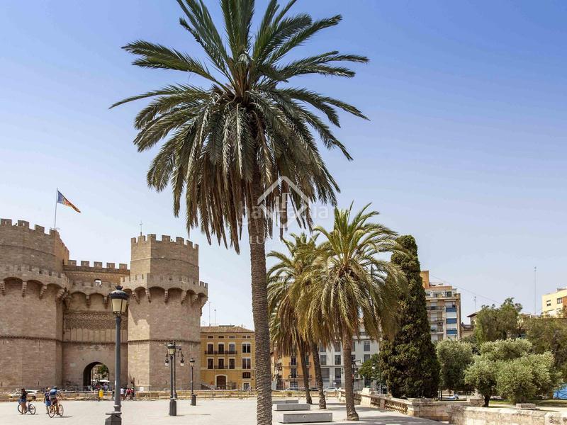 Foto b3285e79-707d-4821-a07f-1b301c666213. Alquiler piso magnífico palacete de 355m en alquiler en ciutat vella, en Valencia