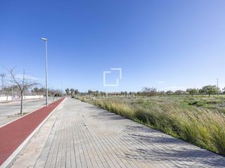 Finca rústica a El Puig. Parcela con más de 5000 m2 de edificabilidad en massamagrell