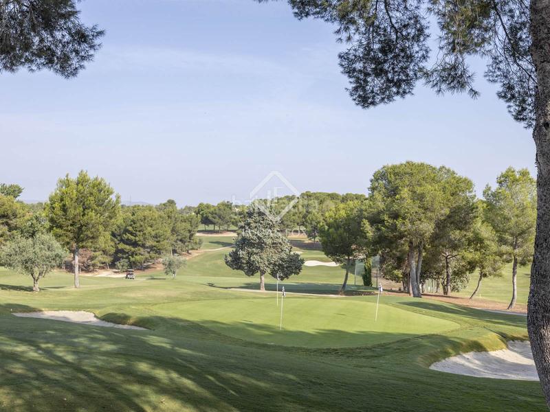 Foto 00d0fb91-b492-44a0-a4d6-e781d36eedd7. Finca rústica a El Bosque Chiva