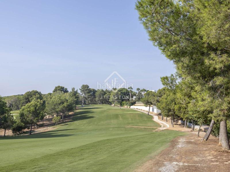 Foto e448e83a-cef7-4742-85b8-5d544fce640d. Finca rústica a El Bosque Chiva