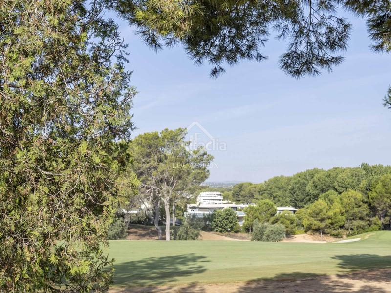 Foto e730cd28-1a2e-4169-9714-b4a58c9e4923. Finca rústica a El Bosque Chiva