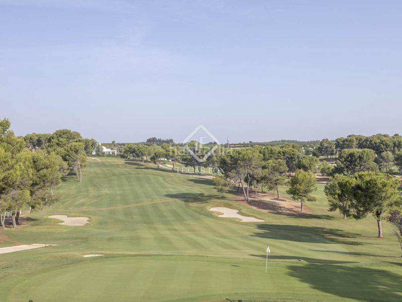 Foto e7b884e0-e7c2-48aa-b1c3-5ea2e6f009f4. Finca rústica a El Bosque Chiva