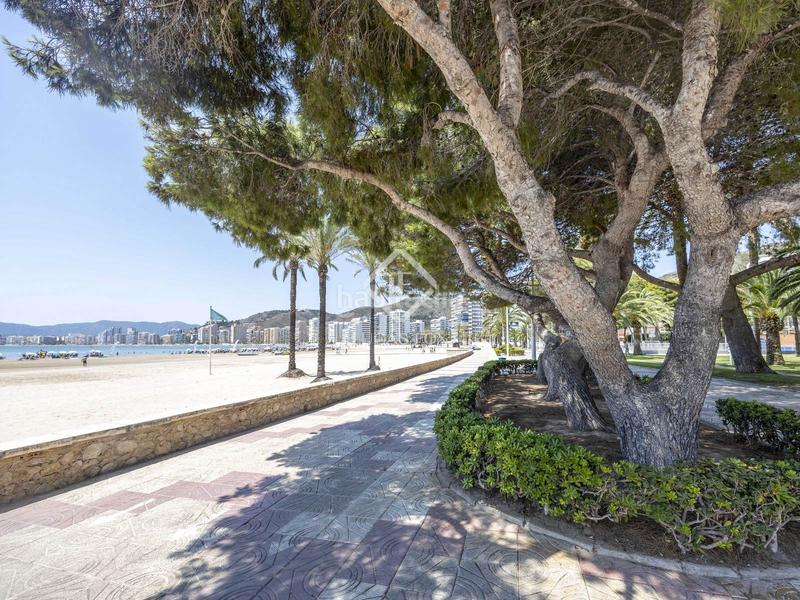 Foto 40b3b153-3096-4be6-a86f-4c61ed35d430. Flat with pool in Racó Cullera