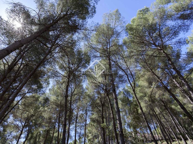 Foto 04d2a5a4-0f15-49ec-8e78-bf43d29919c3. Chalet parcela con casa en venta , valencia en Casco Urbano Náquera