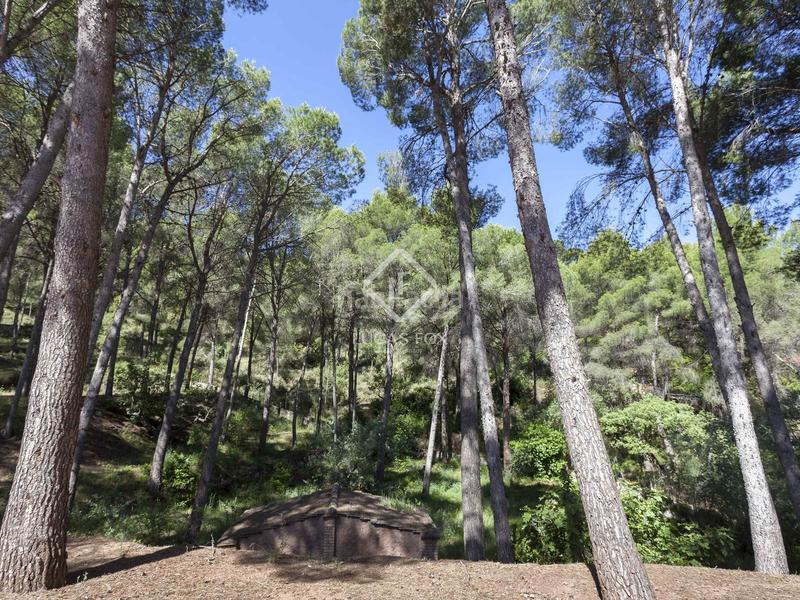 Foto 0e6c9957-c234-4861-94dc-f9341cfb4a65. Chalet parcela con casa en venta , valencia en Casco Urbano Náquera