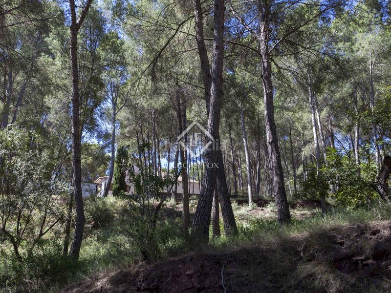 Foto 3a73a15f-bec9-4c86-992f-6a8955c29fd6. Chalet parcela con casa en venta , valencia en Casco Urbano Náquera