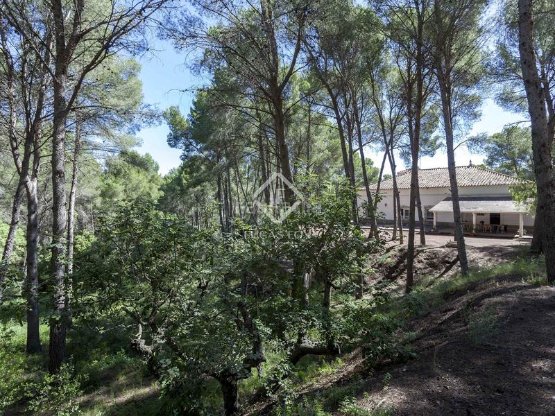 Foto 456959d3-d790-4375-af67-e249e05ed20a. Chalet parcela con casa en venta , valencia en Casco Urbano Náquera