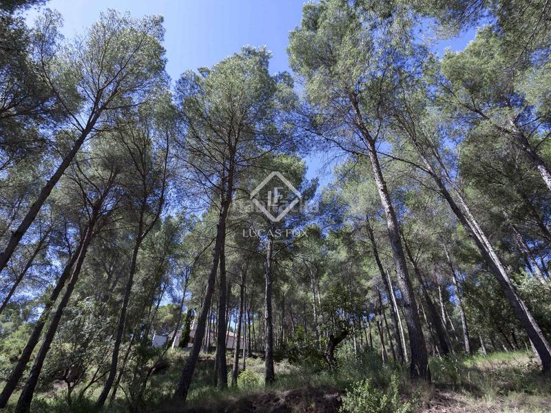 Foto 50d7d662-0625-4a41-a790-b727448315e1. Chalet parcela con casa en venta , valencia en Casco Urbano Náquera