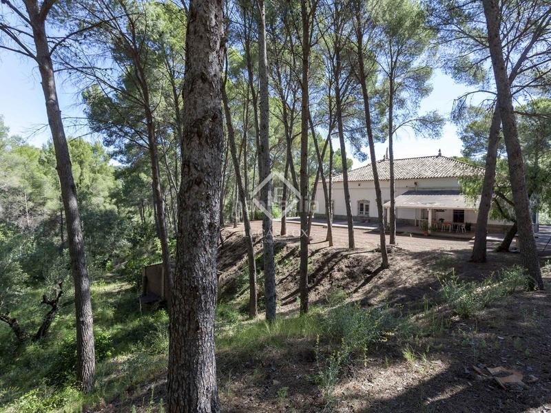 Foto 663eefeb-c893-4dbd-b63f-cc238d9dc63f. Chalet parcela con casa en venta , valencia en Casco Urbano Náquera