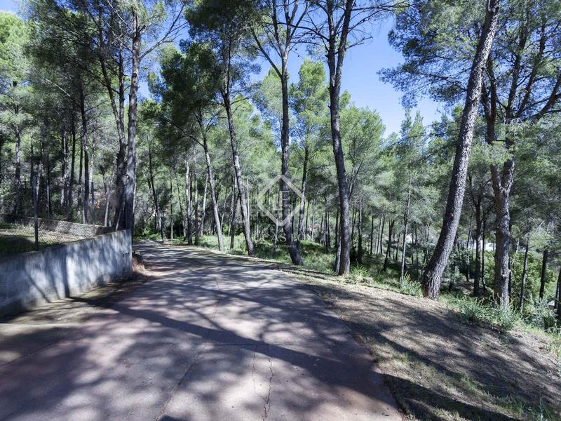 Foto 76391b65-708c-4d46-a6e2-b0f83b5ede63. Chalet parcela con casa en venta , valencia en Casco Urbano Náquera