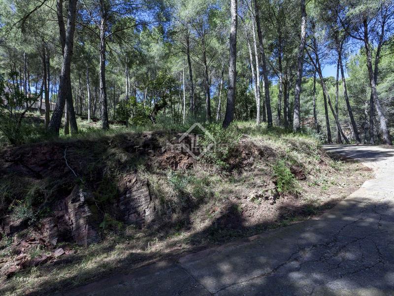 Foto 91dff0ec-f558-4db6-b05d-c5c3124c9ae4. Chalet parcela con casa en venta , valencia en Casco Urbano Náquera