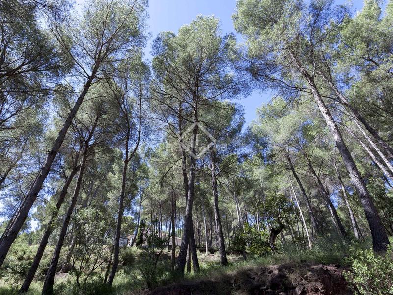 Foto ad40d828-61f2-482b-97b0-2d58cc067a9f. Chalet parcela con casa en venta , valencia en Casco Urbano Náquera