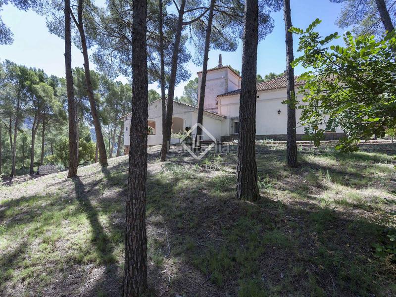 Foto db8c218e-29a9-4d83-854a-e965e827d81d. Chalet parcela con casa en venta , valencia en Casco Urbano Náquera