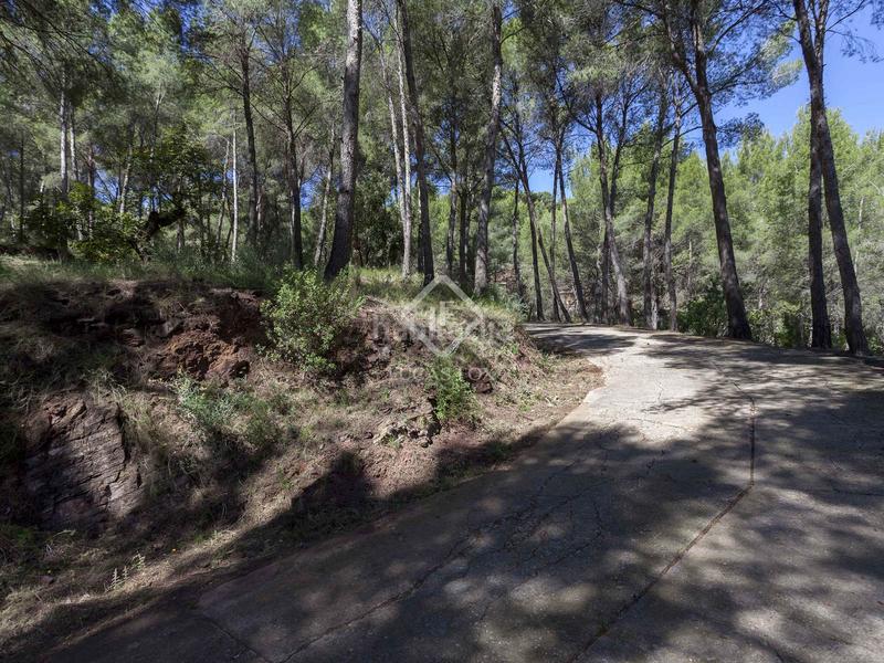 Foto fa1b322a-06eb-4040-b776-19e5233777a6. Chalet parcela con casa en venta , valencia en Casco Urbano Náquera