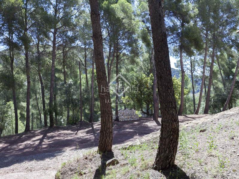 Foto fe101e56-6ab3-4fdb-b6d9-a53c809ae14d. Chalet parcela con casa en venta , valencia en Casco Urbano Náquera