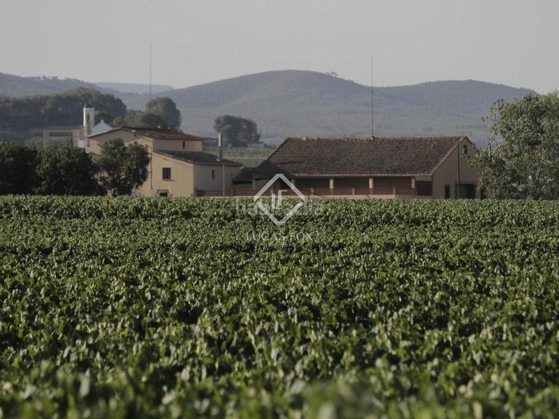 Foto a42339c7-1213-4eda-849d-4f258eeb0980. Masia amb aparcament a Castellet i la Gornal