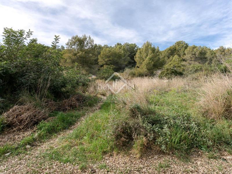 Foto a2090546-f2b7-40f9-95f6-a7d5d8c37817. Finca rústica parcela edificable de 1.204 m en venta en Can Pei, en Sitges