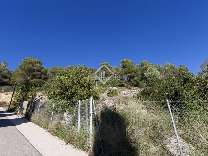 Foto 815d2473-3c84-40b4-b1b2-ad7244b38ff1. Rural plot in Can Girona - Terramar - Vinyet Sitges