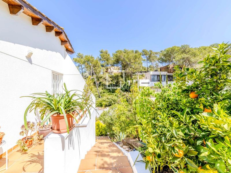 Foto d2c85409-a120-49a0-a75b-bbd8b39fe638. Chalet casa familiar con jardín y piscina en venta , sitges en Olivella