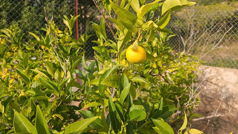 Foto 5b53f1d9-c68f-42a4-81ce-1e5b31cab7f8. Casa oportunidad gran casa en vespella de gaia en Vespella de Gaià