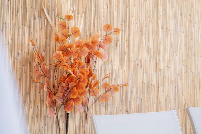 Foto 3a51a8ff-8669-42a4-9d4a-b203e2c9f634. Etagenwohnung mit parking pool in Punta Prima Torrevieja