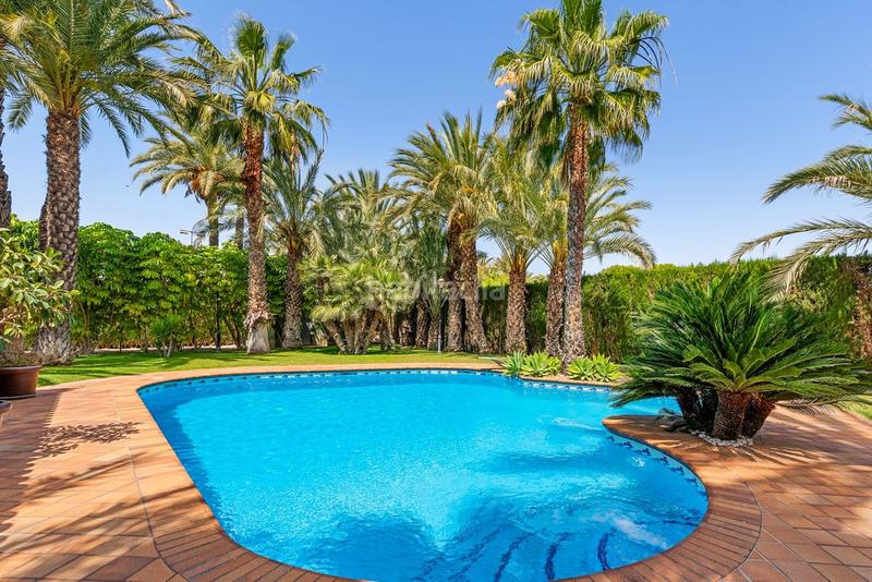 Foto 0961ddfe-739c-4ce8-b78f-eb85b85c824e. Chalet mit pool in Camí dels Magros - Casablanca Elche / Elx