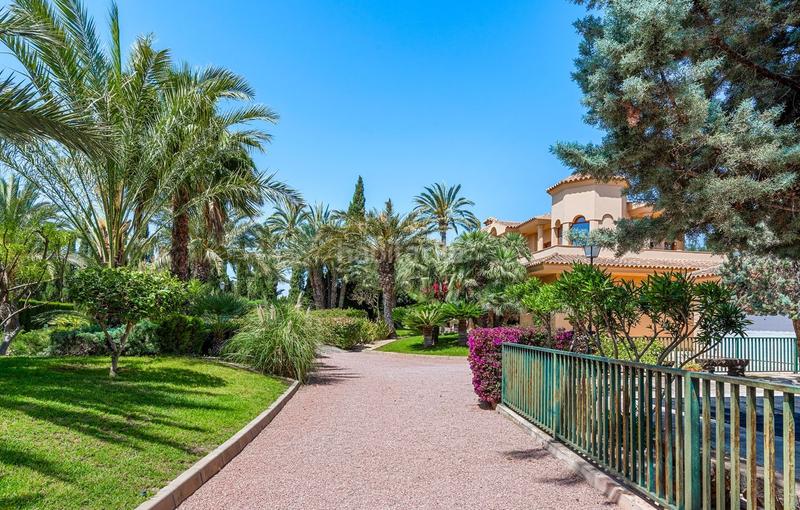 Foto 2ca98017-0719-4886-8163-7684773942e6. Chalet con piscina in Camí dels Magros - Casablanca Elche / Elx