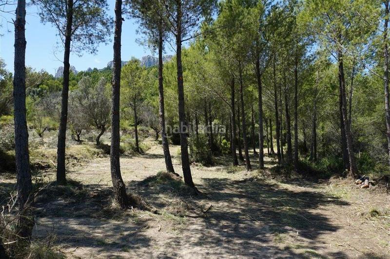 Foto 4dd6c0ff-14f5-46f8-ac84-969841c51d6a. Propriété dans Guadalest
