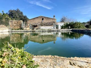 Masia  Disseminat 9. Rustica en alcudia lhort dels moros