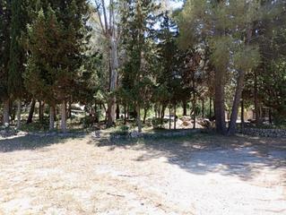 Terreny residencial a Ciutat dAlcdia