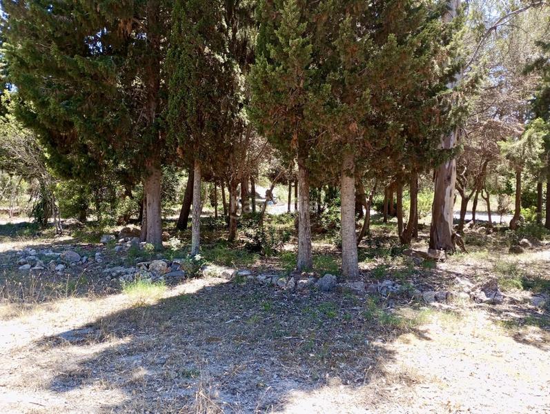 Foto ef599b72-e898-4b73-9dea-e0327493ef83. Terreno residencial en ciutat d´Alcúdia Alcúdia