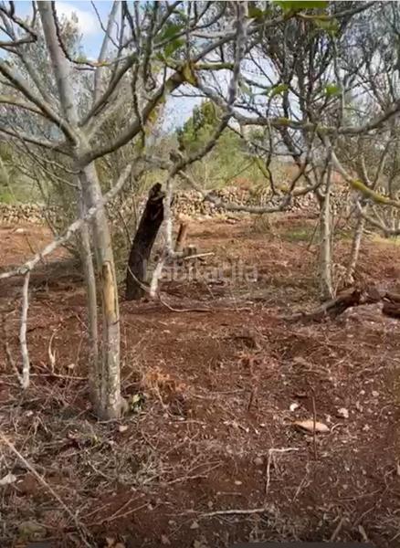 Foto ca17a0aa-dc02-48b9-b194-db4517045271. Terreno residencial suelo urbano en Muro