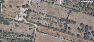 Rural plot in Llubí. Llubi finca