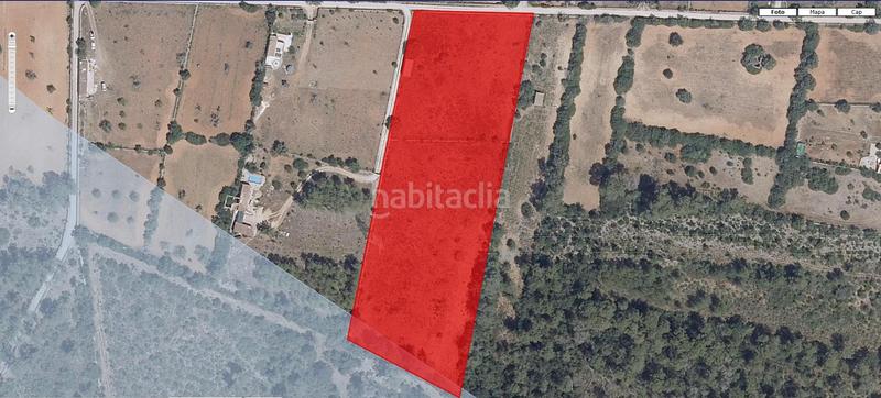 Foto 537e1bfb-9c2c-4f9d-91bd-950c89f5ade5. Finca rústica a Llubí