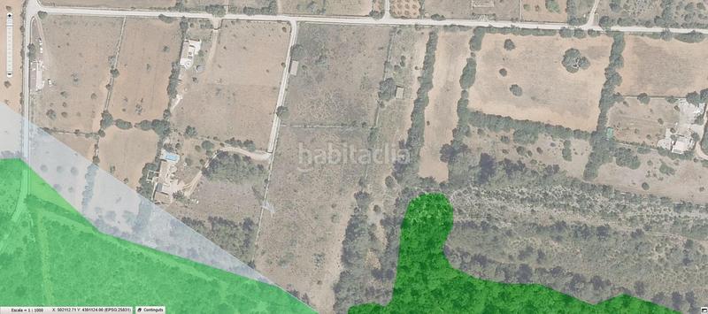 Foto bfe5b536-37a2-4d84-ba9d-31b71a9f26bb. Finca rústica a Llubí