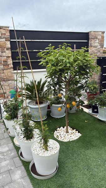 Foto 74bf94f3-423c-4d5d-9176-eb872d20334a. Casa amb aparcament piscina a Orxeta