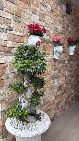 Foto cabd3577-baf2-4516-9896-68d9c2f397d3. Casa amb aparcament piscina a Orxeta