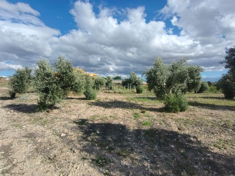 Foto 00f1c377-1f6d-4398-982a-9c1db76b56a9. Finca rústica a Guadix