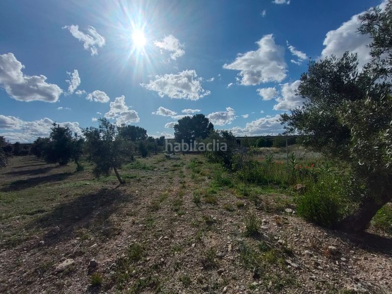 Foto 8cba12ac-18a1-441a-a476-f09368322993. Finca rústica a Guadix