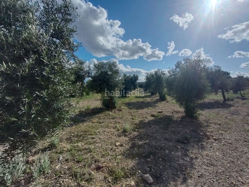 Foto f72e896b-d45d-435e-8734-08958e5e0ac5. Finca rústica a Guadix