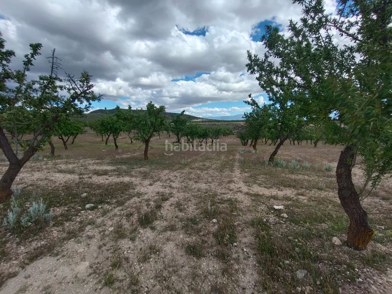 Foto 0a184ad9-0b4a-42b8-98e4-f080b8bca361. Finca rústica a calle las ventas 11 a Guadix