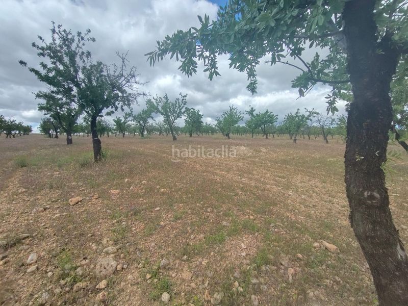 Foto 0cbb6476-78d8-462a-b011-b015431849d8. Finca rústica a calle las ventas 11 a Guadix